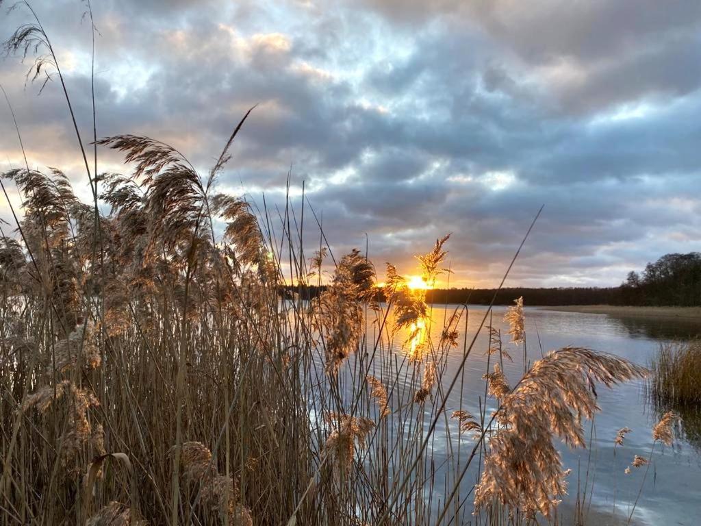 Ferienhaus Direkt Am See Uckermark เทมพลีน ภายนอก รูปภาพ