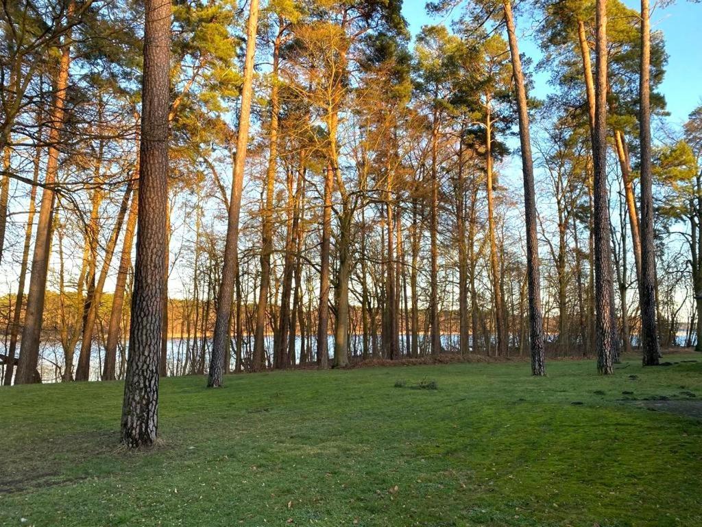 Ferienhaus Direkt Am See Uckermark เทมพลีน ภายนอก รูปภาพ